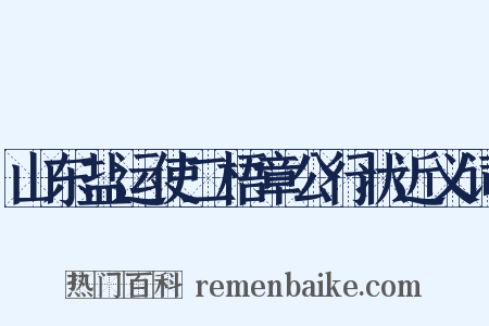 山东盐运使二梧章公行状近义词是什么意思的图片